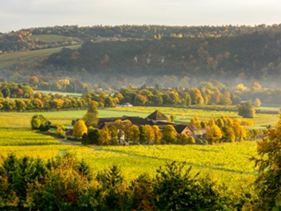 Denbies Wine Estate