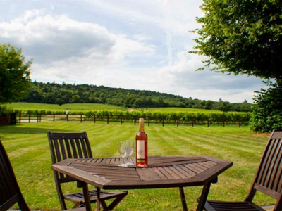 Denbies Wine Estate